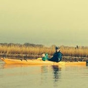 Mike Campfield's photo