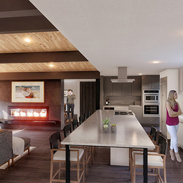 Modern Whole House Remodel