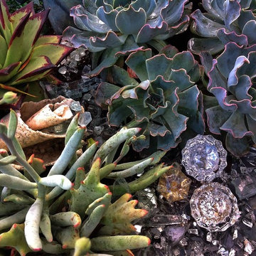 SF Showcase Garden 2016