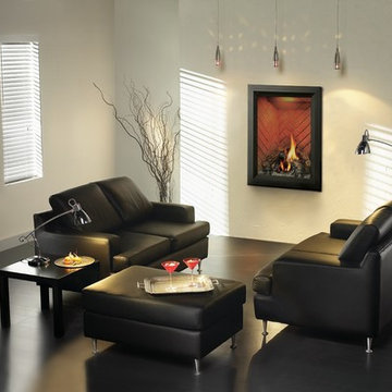 Napoleon Products