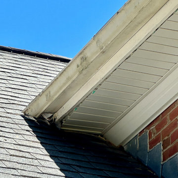 Gutter Installation - Witherspoon