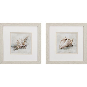 Set of Two Conch Shell Watercolor Wall Art