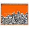 Deny Designs Bird Ave Princeton University Orange Rectangular Tray