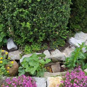 Blütenvielfalt im Hausgarten