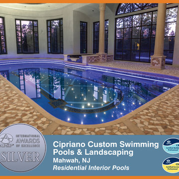 2014 APSP International Awards of Excellence