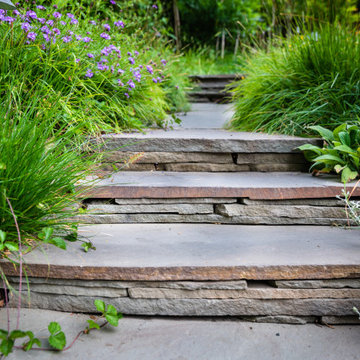 Grassy Meadow Oasis - Reduces Waste While Increasing Habitat