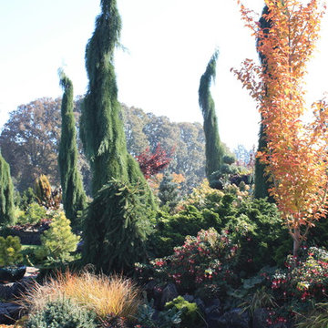 Home Farm and Garden