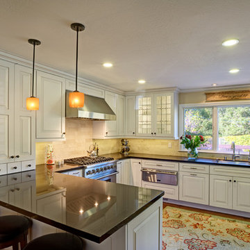 Novato Family/Entertaining Kitchen