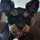 oliver_2121