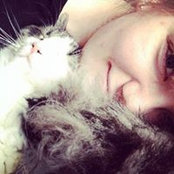 Nikki Johnson's photo