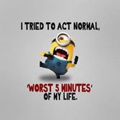Deborah Langille's photo