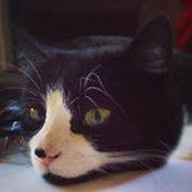 Bob Wedemeyer's photo