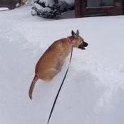 Erica Lanzarone's photo