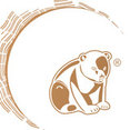 Foto de perfil de Little Bear San Sebastián