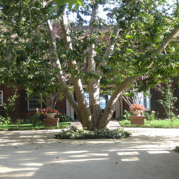 Padaro Lane