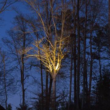 Alpharetta, GA House and Backyard Lighting Project