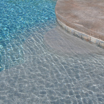 Custom Freeform Style Pool with Raised Spa