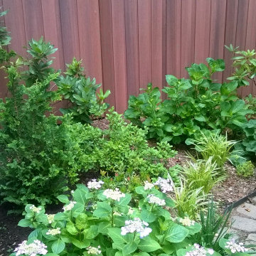 Small backyard - Weehawken
