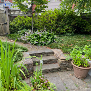 American University Park Rear Garden