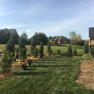 Landscape Installation