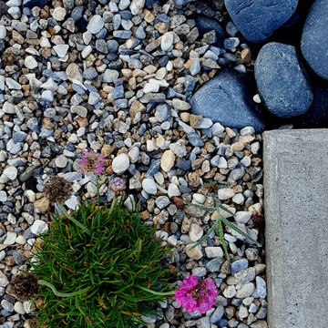 Sandy beach garden