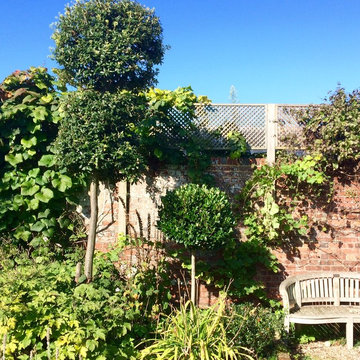 Topiary on a budget - traditional town garden