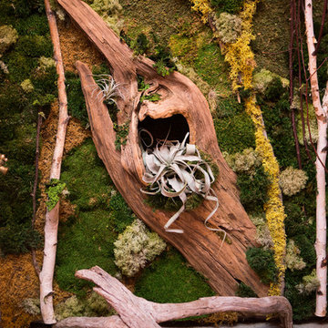 Vertical Garden Designs - La Jolla