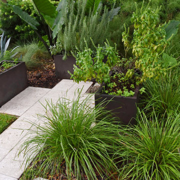 Mid-Century Modern Garden