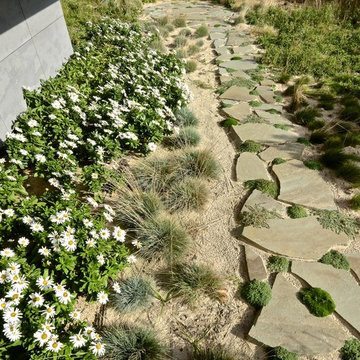 Mecox Bay Residence - Wetland Buffer Planting