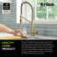 Bolden Commercial Pull-Down 1-Handle Kitchen Filter Faucet, 3-Function, SFACB