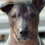 Patrick Armstrong's photo