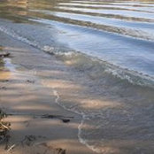 Connie Hopper's photo