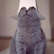 Matt Boyers's photo