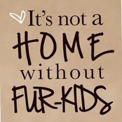 Kristi Bellfy's photo