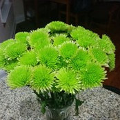 Pavani Sande's photo