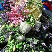 Foto von Yvonna Claridge