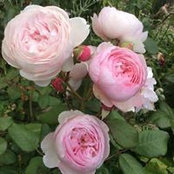 Heather Hay's photo