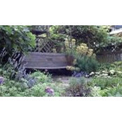 Nancy Mathieson's photo