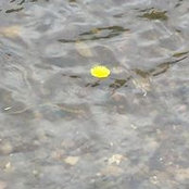 Foto von Simone Schäfer