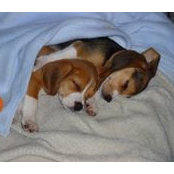 Foto di Marilee Kessler
