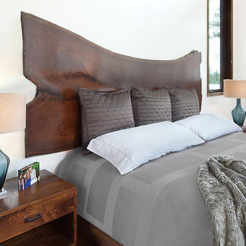 Mountain View Contemporary