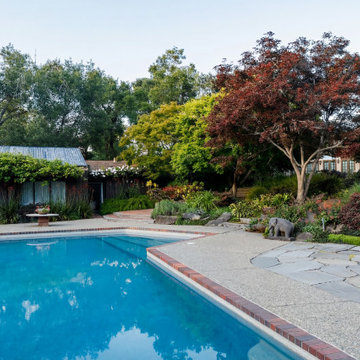Poolside Garden with Lush Planting