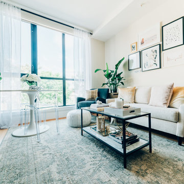 My Houzz: Budget-Friendly Style for a Downtown D.C. Studio