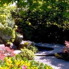 Water Fall water garden