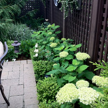 Savoy Garden