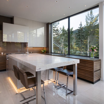 2021 Pinnacle Award - Private Residence Vail, CO