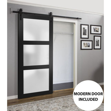 Barn Door 24 x 84 Frosted Glass, Lucia 2552 Matte Black, 6.6FT Rail