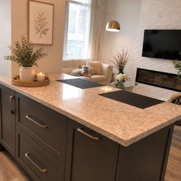 Penthouse Condo Apaerment in Square 1 - Remodeling