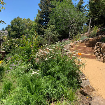 Hillside Flower Meadow + Food Forest