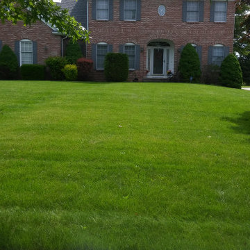 Landscaping